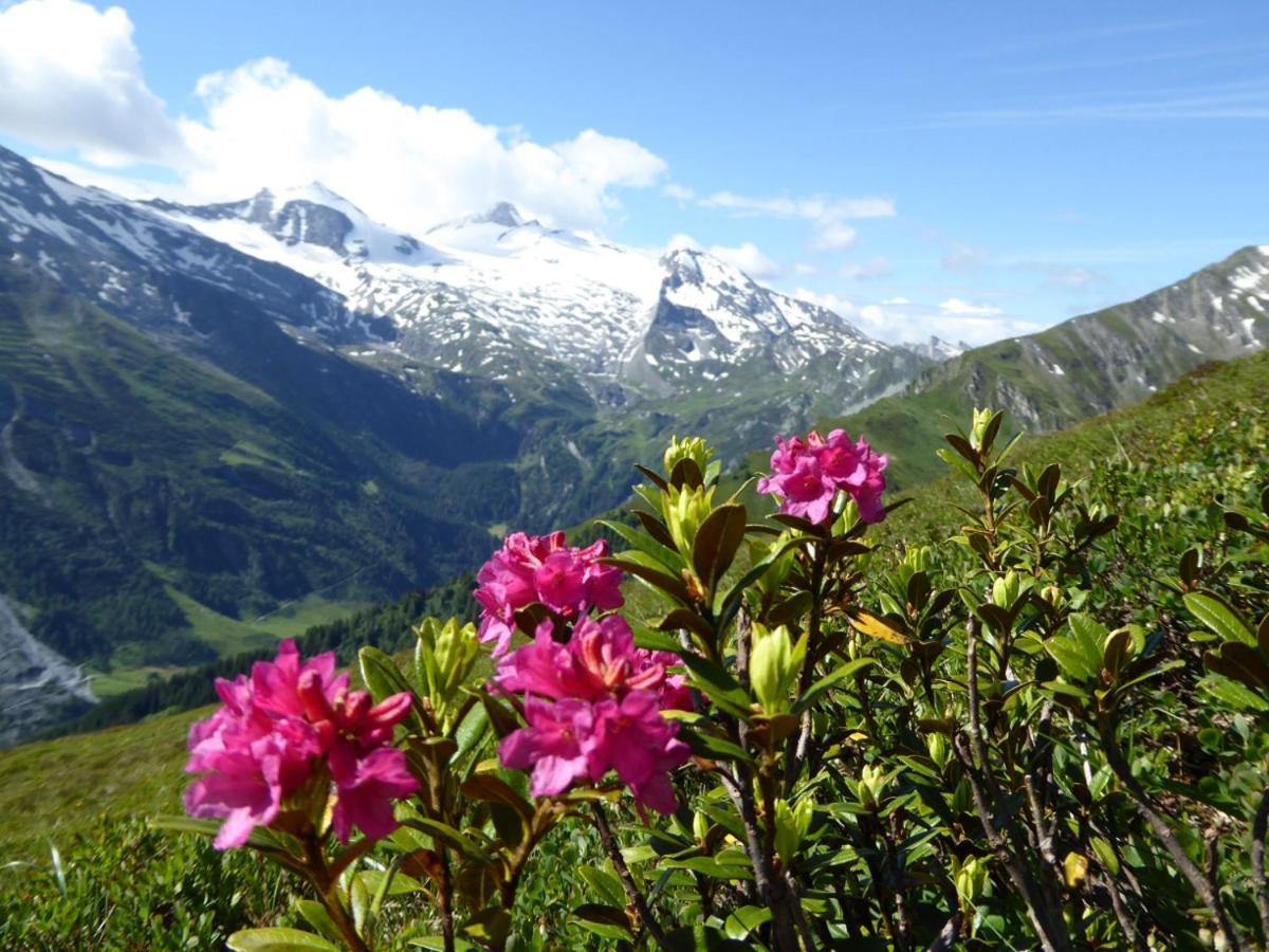 Ferienwohnung Alpenheim Tux Eksteriør billede